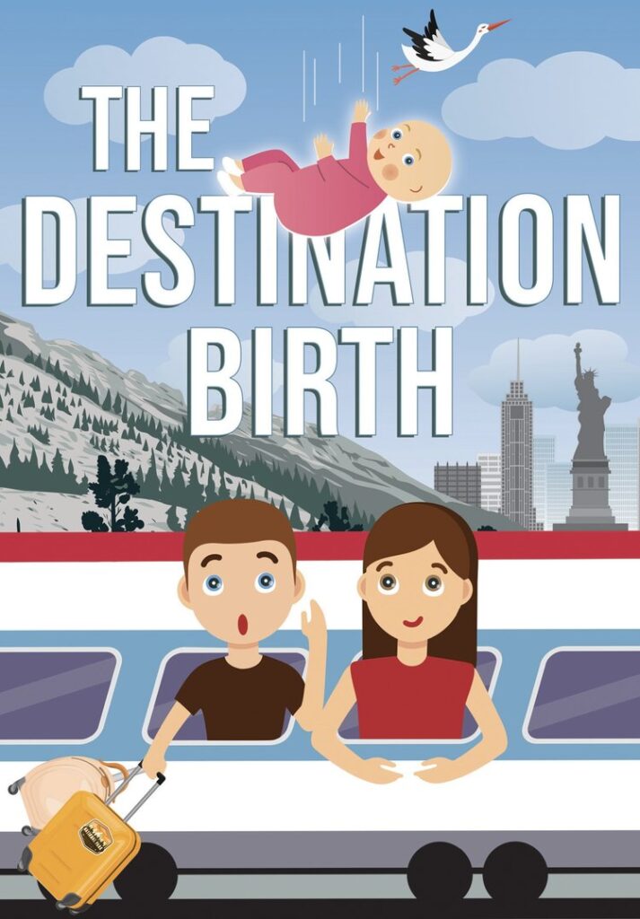 The Destination Birth book cover
